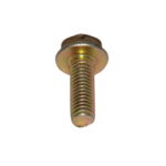 Parafuso de Fixação da Tampa do Rolamento do Alternador - GB21164