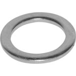 Arruela do Encosto para Dínamo - GB31024